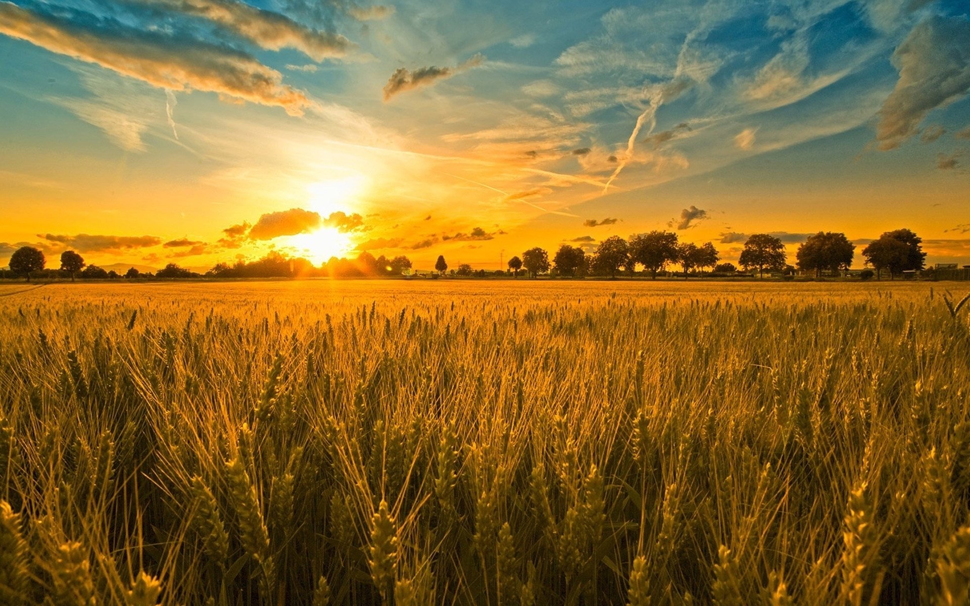 field